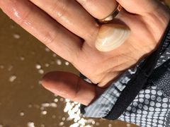 -青岛银沙滩
