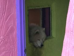 -瓷天下海丝谷