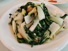 豆皮炒青菜-三义和酒楼(千佛山店)