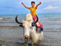 -青海湖国家重点风景名胜区
