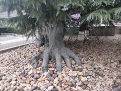 -侵华日军南京大屠杀遇难同胞纪念馆-停车场