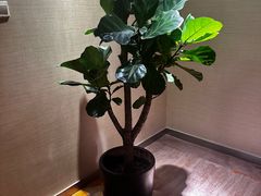 -北京广安门维景国际大酒店