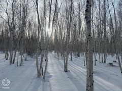 -北极村旅游风景区