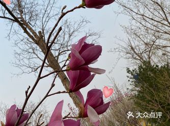 居然还要排队，娃娃玩的不亦乐乎！