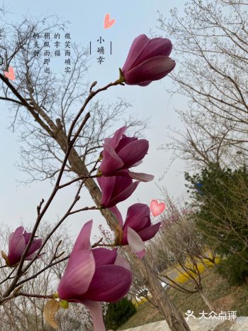 居然还要排队，娃娃玩的不亦乐乎！