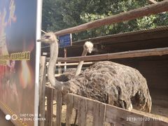 -呀路古热带植物园