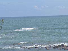 -广东惠东海龟国家级自然保护区