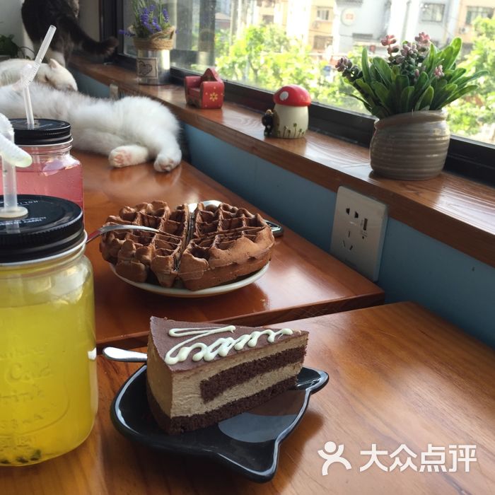 淇乐猫咪咖啡馆