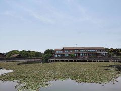 -新木器时代餐厅(太湖新天地店)