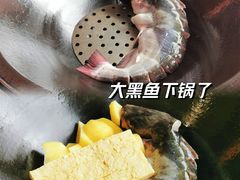 -老刘生态大鱼坊铁锅炖鱼(赛马场店)
