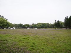 -福建鲤鱼洲酒店