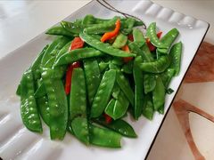 炒荷兰豆-马白开来特色羊排揪片子  (总店)