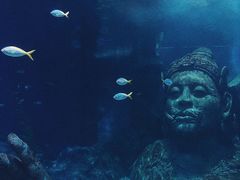 -暹罗海洋世界