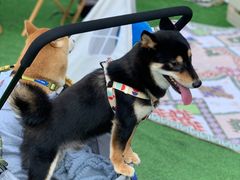 -凯德广场(武胜路店)