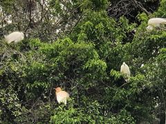 -下渚湖国家湿地公园科普馆