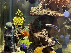 -太平洋海底世界