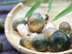 野生菌-七采菌园·野生菌石锅鱼(环城北路店)