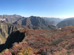 -北京鹫峰国家森林公园