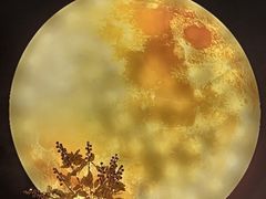 -南湖胖子砂锅(红庙店)