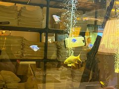 -涨巢·潮玩水疗局