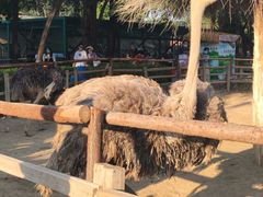 -北京野生动物园