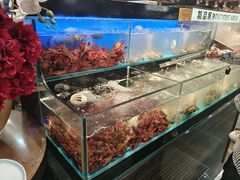 -苏格里岛自助烤肉海鲜火锅(成都金牛万达店)