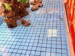 -良友·地标海鲜青岛菜(五四广场店)