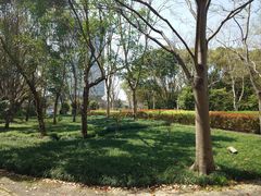 -上海中医药大学附属曙光医院(东部)