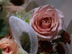 -Butchart布查德鲜花(花艺设计中心)