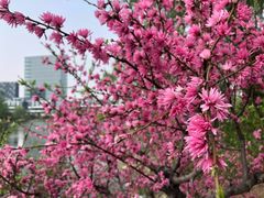 -大兴滨河森林公园