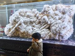 -湖南省地质博物馆