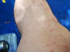 -东方雅典水疗美食汇(金海岸大厦店)