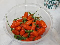 -尕胡才炕锅烤羊肉馆(八一路店)