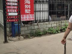 -大海别墅民宿农家院(十渡店)