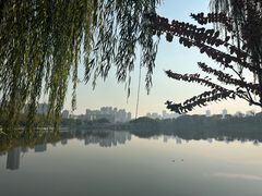 -武汉动物园