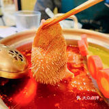 深圳熊猫领养| 2022年最好吃最有趣的火锅店