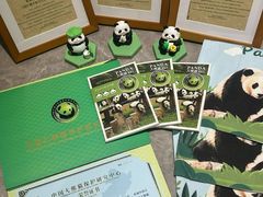 -都江堰中华大熊猫苑