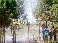 -杨柳青庄园