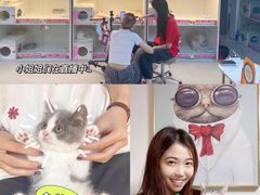 -lincat·猫舍(广州店)