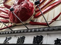 -蟹道乐(道顿堀本店)