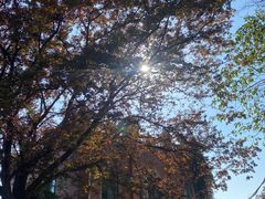 -上海佘山国家森林公园西佘山园