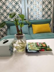 -YooMee优美智能科技美肤机构