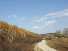 -塞罕坝国家级自然保护区