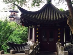 -上海佘山国家森林公园西佘山园