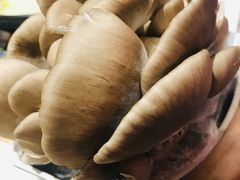 -好彩猪肚鸡(正弘城店)