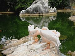 -昆明动物园