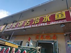 -煲来饱去冷水鱼
