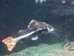 -太平洋海底世界