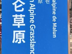 -芦芽山旅游度假区