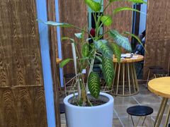 -文昌邓记清补凉(西沙路店)